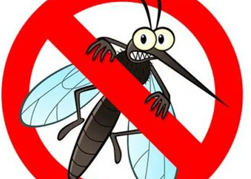 Lotta contro le zanzare